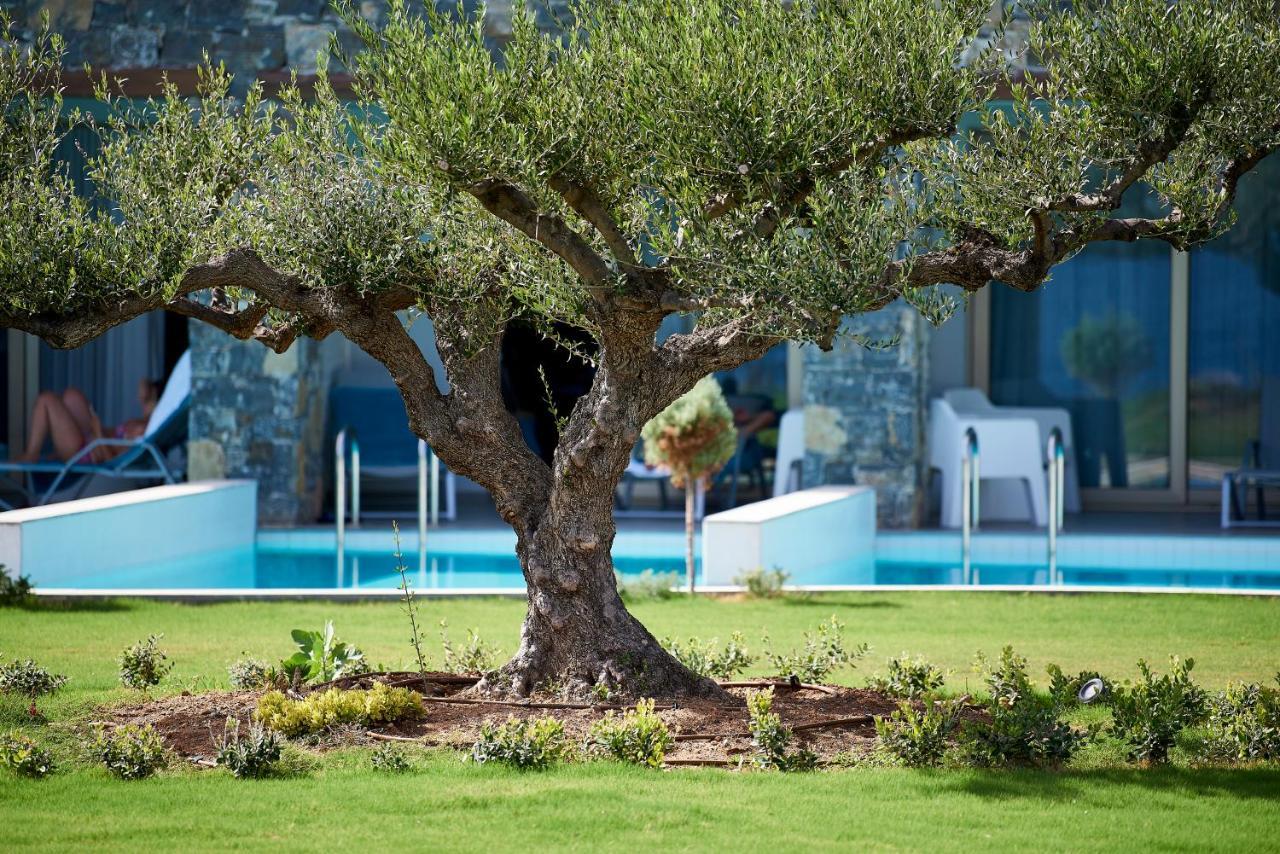 Kakkos Beach Hotel - Adults Only Ierápetra Екстериор снимка